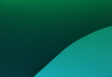 Digitale Ausbildungsplatzbörse der Steuerberaterkammern: Nachwuchsgewinnung neu gedacht