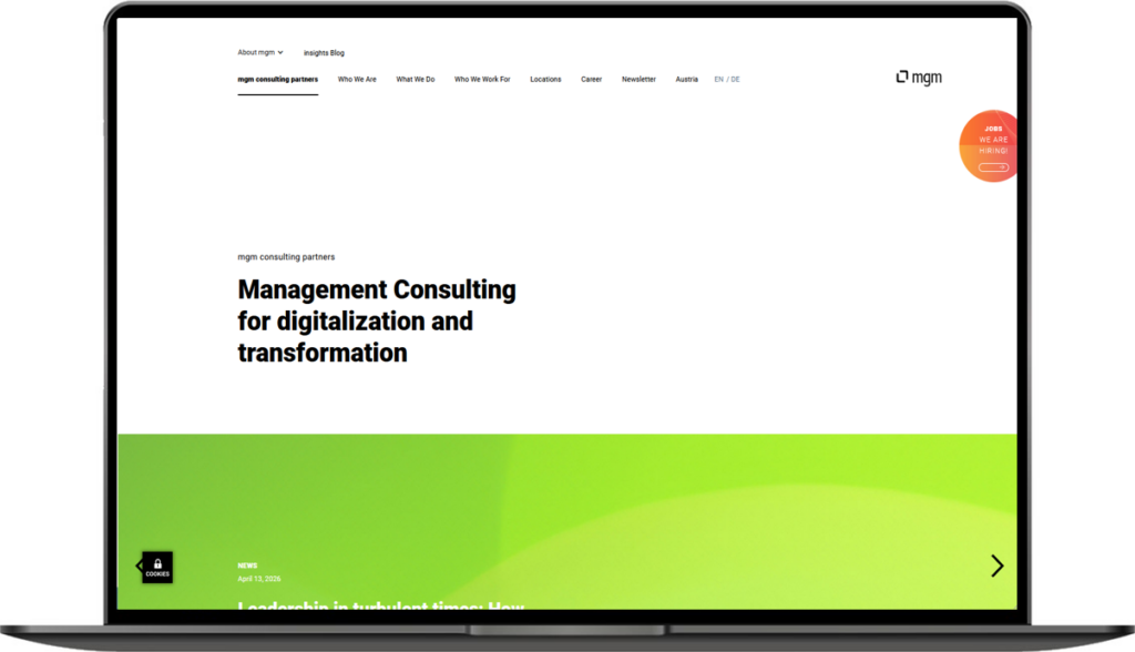 Consulting | mgm insights
