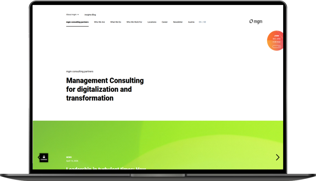 Consulting | mgm insights